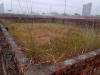 Lands and Plots for Sale in Basundhara